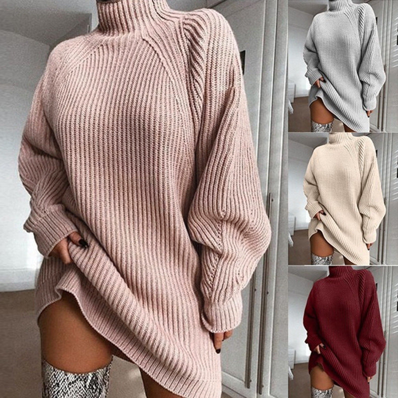 Solid Turtleneck Long Sweater Winter Warm Women Sweater