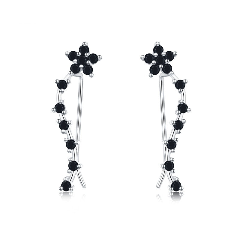 Women's Long Fringed Zircon Earrings